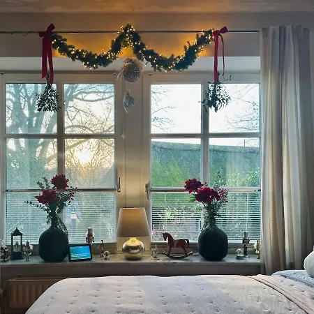 With Piano, Fireplace & Dream Bed